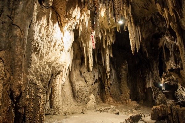 网上的 Ngarua Caves 图片
